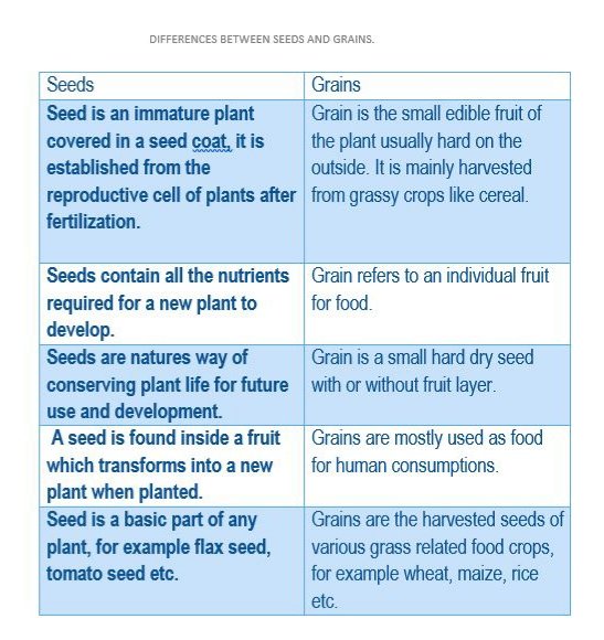CorpFarmers_int's tweet photo. For some of our Twitter family that will love to know the difference between #Seeds & #Grains ,well we have taken our time to do this tabulation for you. #AgroKnowledge
cc: @MadedorVictoria @FAOAfrica @IFAD @AfDB_Group @Bayer @GLOBALGAP @IITA_CGIAR https://t.co/ws8VyY1b0y
