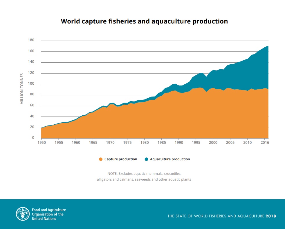 1950 = 20 million tonnes of fish taken from the ocean.

2016 = 200 million tonnes of fish taken from the ocean (~half from fish farms).

This works out to 25,000-75,000 fish per second!

*That's not counting 11-26 million tonnes of illegal catch.
fao.org/state-of-fishe…