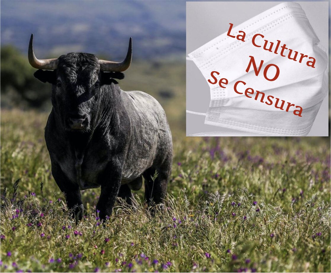 #MinistrodeCensura   La Tauromaquia es cultura
