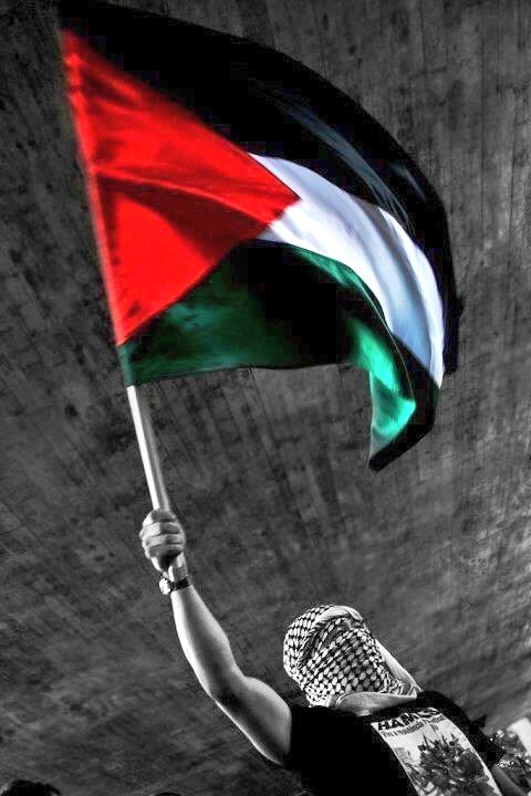 MusaviJamal's tweet photo. Quds Is The Day Of #Kashmir, #Palestine And All Oppressed One. Let's Rise Our Voice.
@syedjawadnaqavi
@khamenei_ir
#qudsday2020
#QudsDay
#FlyTheFlag
#PalestineWillBeFree https://t.co/7aTvBnjaIl https://t.co/DGcV6o9SxC