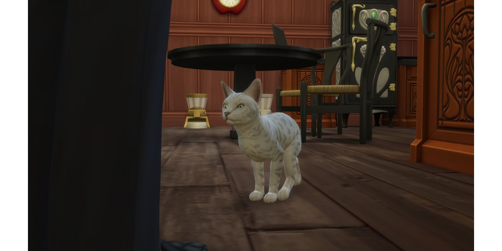 stlem354's tweet photo. cats are cute. #TheSims4 https://t.co/ZxuUJRfKLI