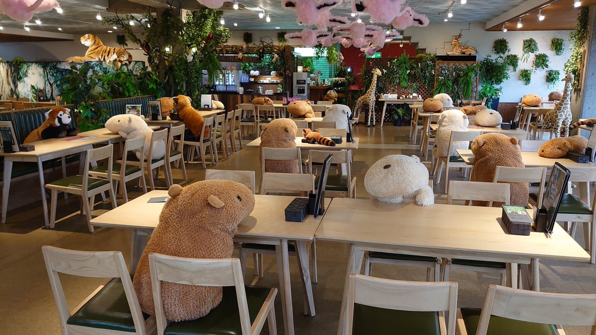 The cafe at Izu Shaboten Zoo in Shizuoka, Japan uses stuffed Capybaras to enforce social distancing (Photos by  @chacha0rca)