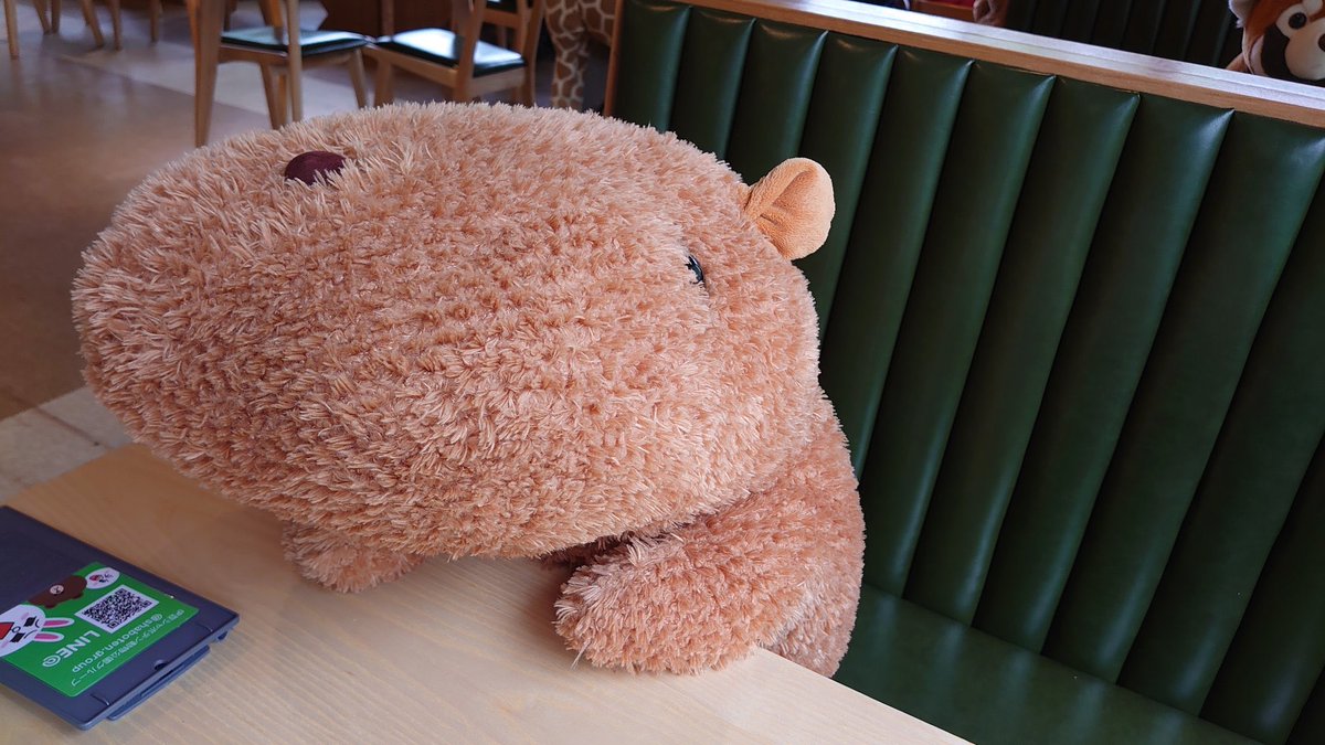 The cafe at Izu Shaboten Zoo in Shizuoka, Japan uses stuffed Capybaras to enforce social distancing (Photos by  @chacha0rca)