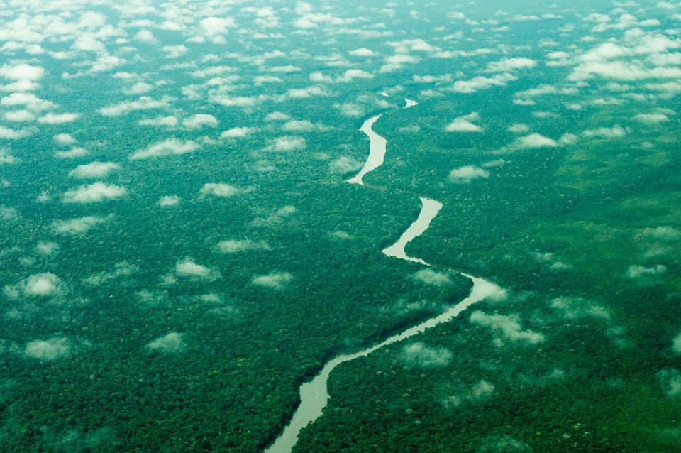 David Pulido tweet media