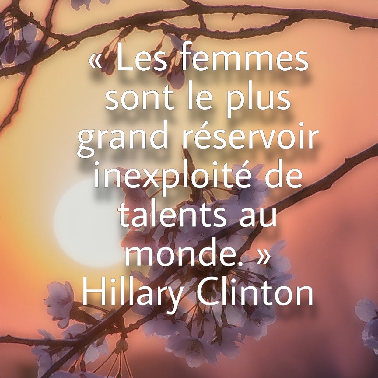 تويتر Imani على تويتر Citation Inspirante Du Jour Women Are The Largest Untapped Reservoir Of Talent In The World Femmesdinfluence Femmestalentueuses Femmeslibres T Co Sxuasnyboa
