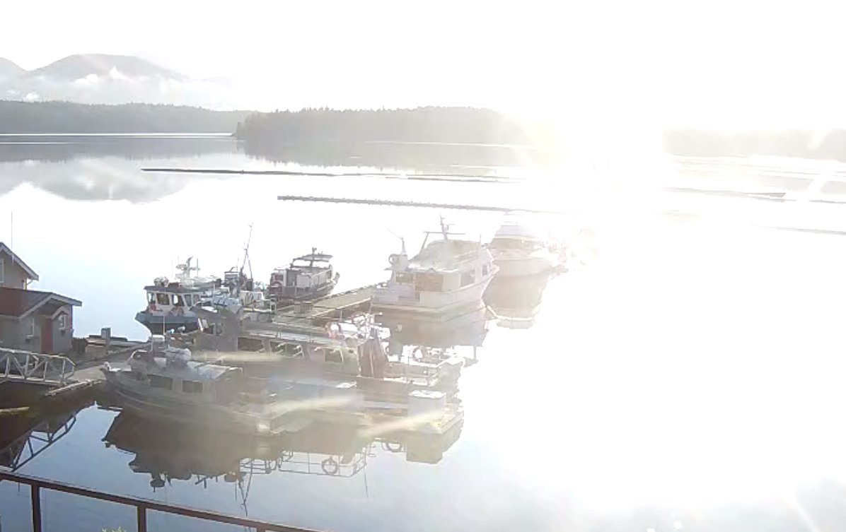 Shearwater tweet media