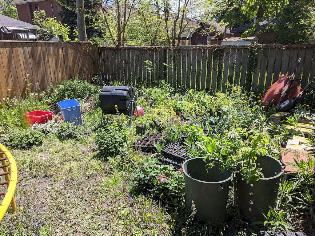 WECCGC's tweet image. Thanks Allie Sunshine Project and the St. Clair College for donating a substantial amount of plants this year for us to distribute to community gardens and gardeners.