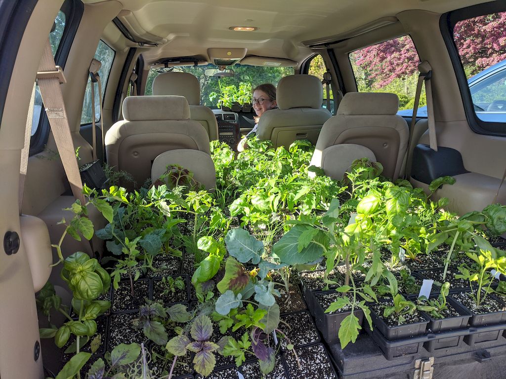 WECCGC's tweet image. Thanks Allie Sunshine Project and the St. Clair College for donating a substantial amount of plants this year for us to distribute to community gardens and gardeners.