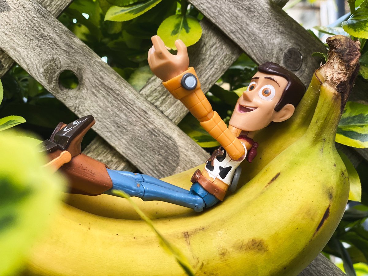iwrotethose's tweet image. A very balmy 28 degrees today, but Woody has been #stayingalert and #stayinghome in his banana-hammock, while enjoying the sunshine.

Now, if only some of the hoomans did the same too.

#ToyStory #toyphotography