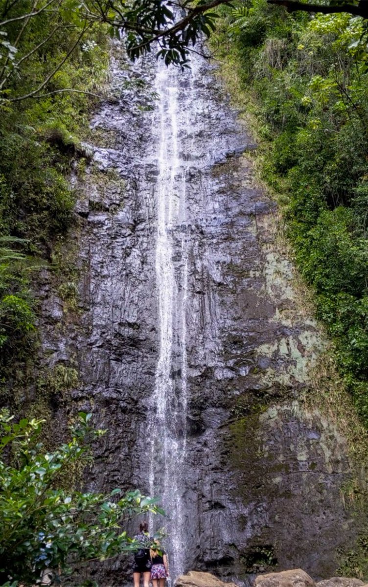 TrinityHawaii's tweet photo. NEW BLOG ✨
Featuring our hike of the week | Manoa Falls!

https://t.co/EfBj89x2Jh https://t.co/tBURDT77si