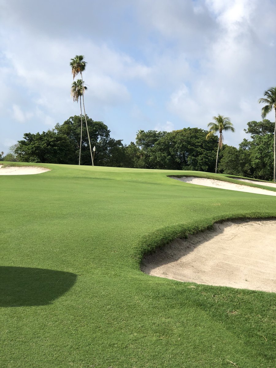 WillCitarella's tweet photo. What an honor to be on such hallowed grounds. Wm Flynn was a master of design and deceit to the golfer. Indian Creek is a monster (humbling) and a Mecca! @AlbanyGCM15 is no less a master when it comes to preserving Flynnโs vision to the highest level #floridastrong #williamflynn https://t.co/2BBwTpIO0B