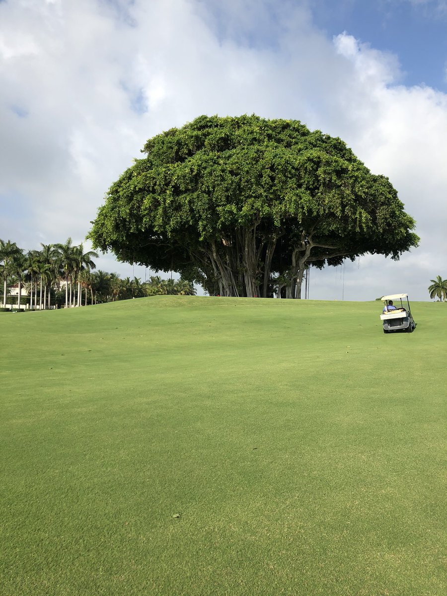WillCitarella's tweet photo. What an honor to be on such hallowed grounds. Wm Flynn was a master of design and deceit to the golfer. Indian Creek is a monster (humbling) and a Mecca! @AlbanyGCM15 is no less a master when it comes to preserving Flynnโs vision to the highest level #floridastrong #williamflynn https://t.co/2BBwTpIO0B