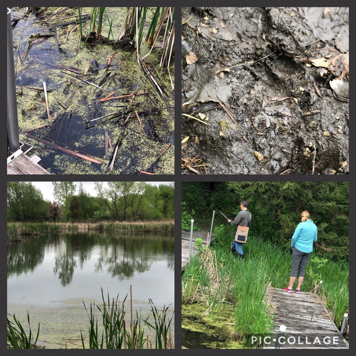 davisk75's tweet photo. Virtual Field Trip to the Nature Center with Dr. M as our guide! @meagher3dan @wilke5B @catiestephani #mckinleystrong #virtualfieldtrip #distancelearning #natureclassroom #outdoorlearning #outdoorclassroom https://t.co/I0LD56ZXP2