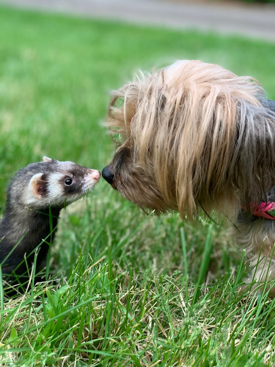 OrganizerJen (@organizerjen) on Twitter photo 