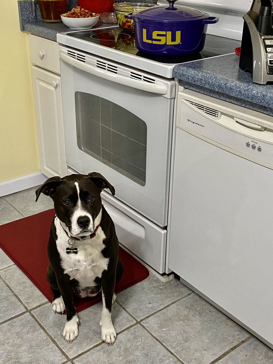ChefKevinBelton's tweet image. Cookie is ready for my Zoom Cooking Class but I think she’s just hear for the food😳🐶😜 #zoomin #virtualcookingclass #cookiemonster #home #socialdistancing #covidchronicles #chef #cheflife