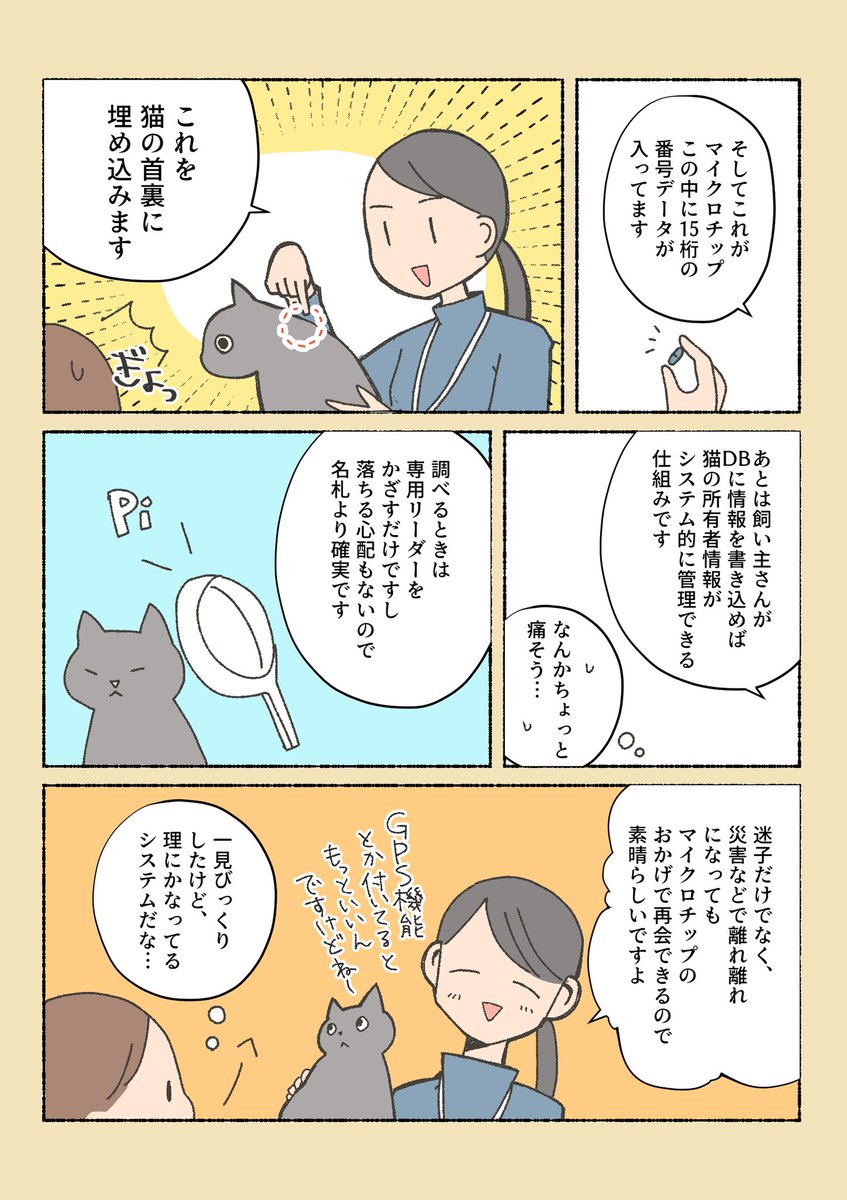 保護猫ちゃんをお迎えするまでの話④

愛護センターの保護猫講習で習った、イマドキの保護猫事情の続き。
次は保護猫カフェに続く! 