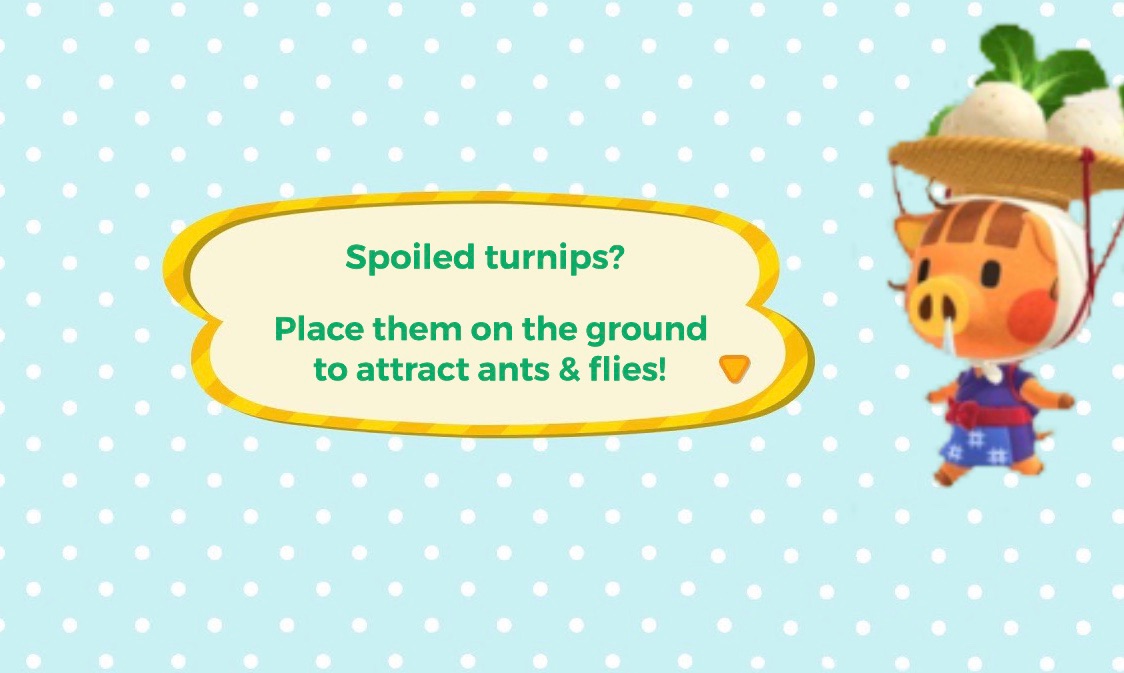 Kaewynntv's tweet photo. Did you know that the main formula for turnip price predictions looks a little something like: Monday sell price ÷ Sunday Sale price = X 🌱 
For better prices you can check out Reddit, Twitter, or a Discord Server! https://t.co/ZC5q1R22VW