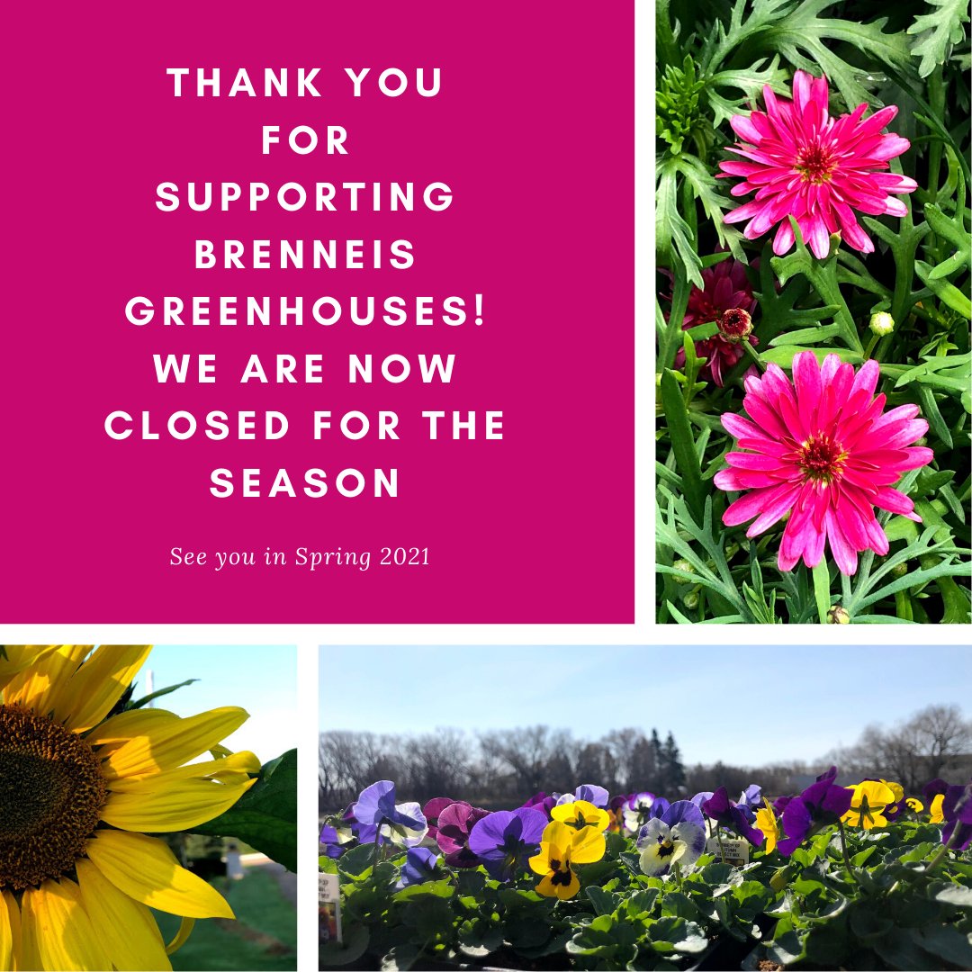 What a season 🌻

Our Greenhouses may be closed, but we will continue to share the beauty that summer is on our social media pages. 

We cannot thank you all enough for the amazing season that we had, 2020 is one for the books!

Thank you! 

#YegGardens #yeggers