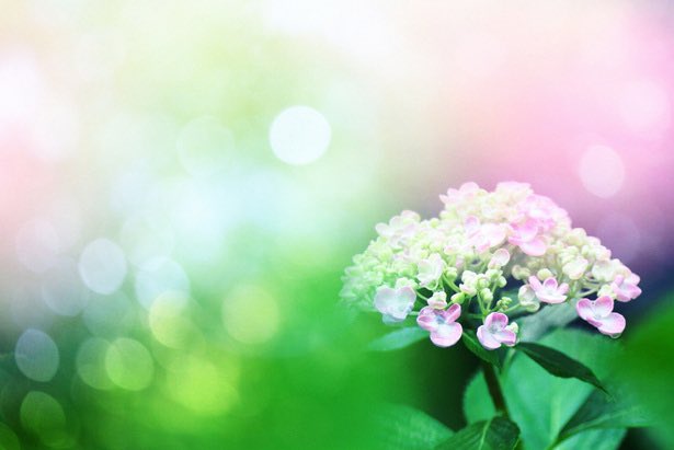 Follow 幸せになりたい人は必見の名言集 S Siawase Meigens Latest Tweets Twitter