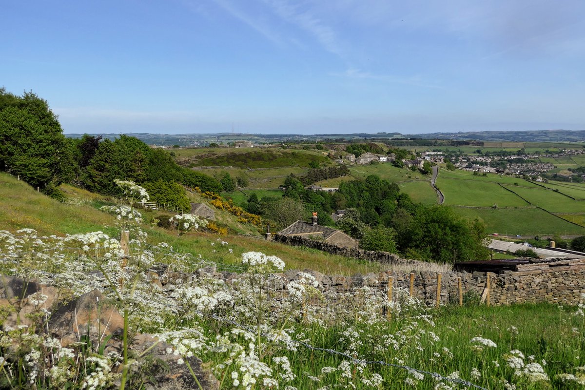 SRofke's tweet photo. #ColneValley kissed by #spring.

#Huddersfield #NaturePhotography #walking https://t.co/Zrc2rZFwkc