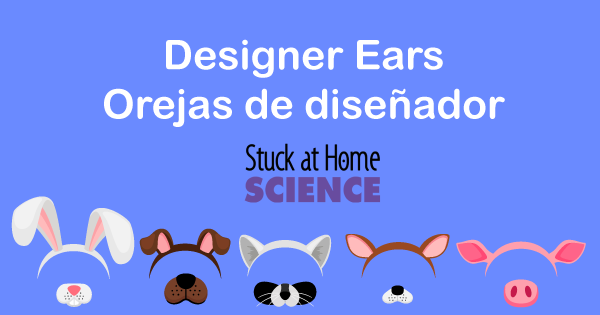 casciencecenter's tweet photo. Can you hear me now? I CAN with my new ears! Check out this NEW #StuckatHomeScience activity at: https://t.co/qNlN2p450R.
--------------------------------
► ¿Puedes oírme ahora? ¡PUEDO con mis nuevas orejas! https://t.co/ISB2TVOho2
