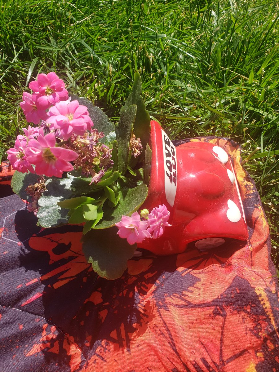 MAV_exe's tweet photo. #gettingsomesun with my #plantbaby Kailagh!

#WontBeErased #TransIsBeautiful #GirlsLikeUs #TransGirl #transgenderwoman🌈 #transgenderwomanofcolor #ThisIsWhatTransLooksLike #nofilter #nomakeup #CurlyHair #GreenEyes #TomboyFemme https://t.co/aO9CkhotJI