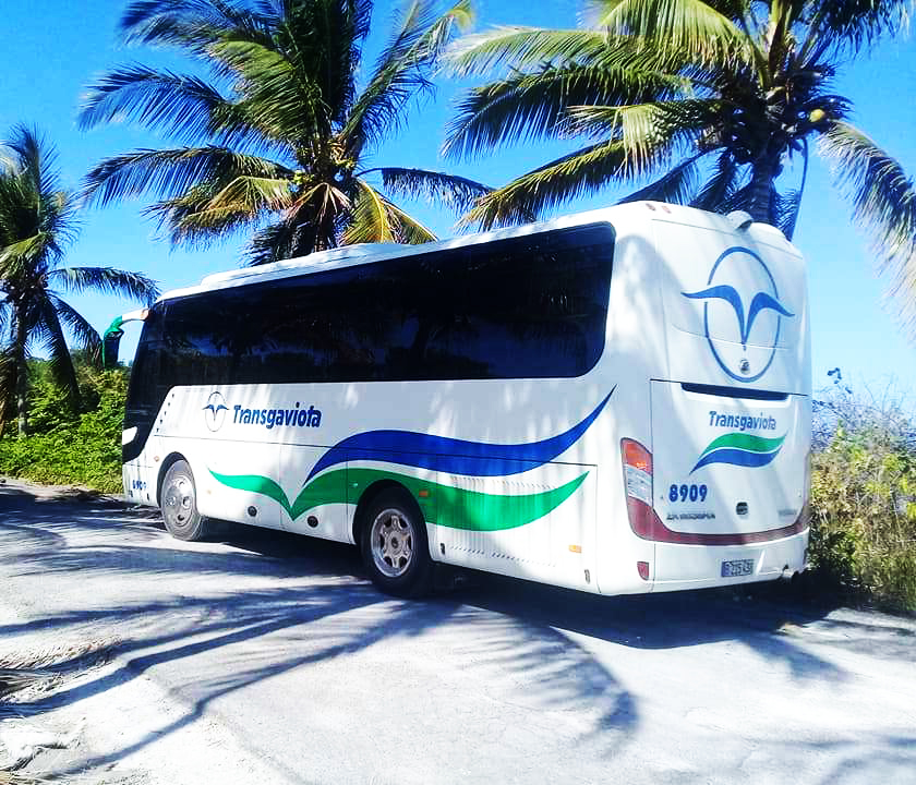 transgaviota's tweet photo. ¡Planifica tu viaje!. Te transportaremos a la playa más paradisíaca en Cuba: Cayo Jutías, cerca del Valle de #Viñales, un día de excursión con #TransGaviotaPinarDelRio.

Por ahora #QuédateEnCasa #ContamosContigo
For now #StayAtHome #WeCountWithYou https://t.co/wQzgZP9Sc4