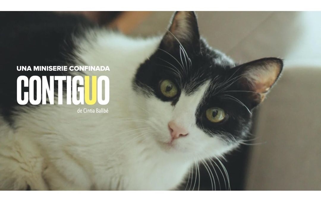 GotadeLuzRedes's tweet photo. @jonariasv participa, junto a @_albaribas, en el primer episodio de la serie #Contiguo. Él es EL JEFE. ¿List@s para formar parte de la vecindad? #serieconfinada #serieonline https://t.co/3NbHAlynOf