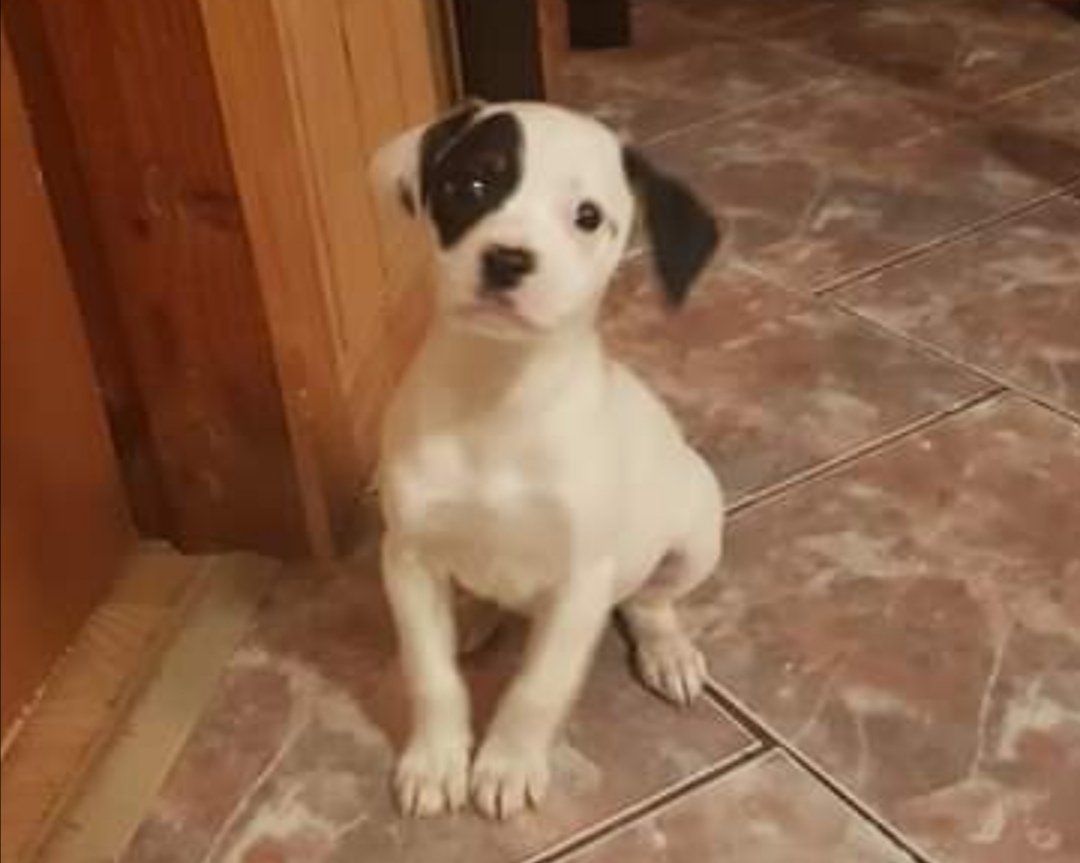 Tendré un hijo , es pirata, ayuden con nombre 😍