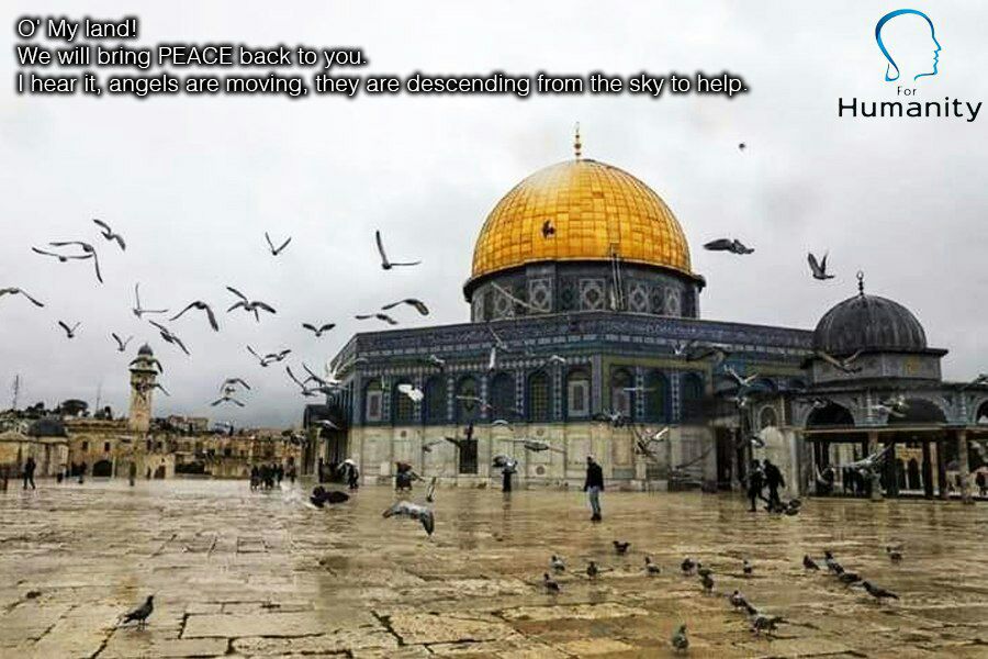 SSunngirll's tweet photo. O' My land!
We will bring PEACE back to you.
I hear it, angels are moving, they are descending from the sky to help.
#Palestine
#QudsDay https://t.co/IGwX1MIEYV