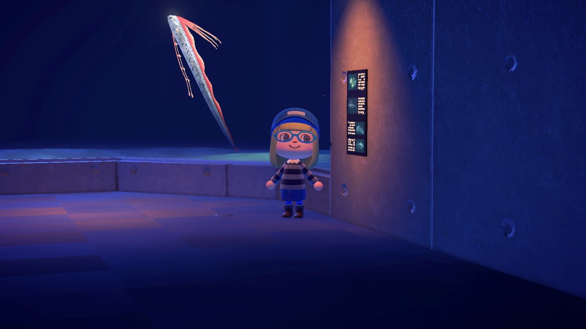 holfish's tweet image. The museum displays are the best! Look at this fish I caught! #AnimalCrossing #ACNH #NintendoSwitch