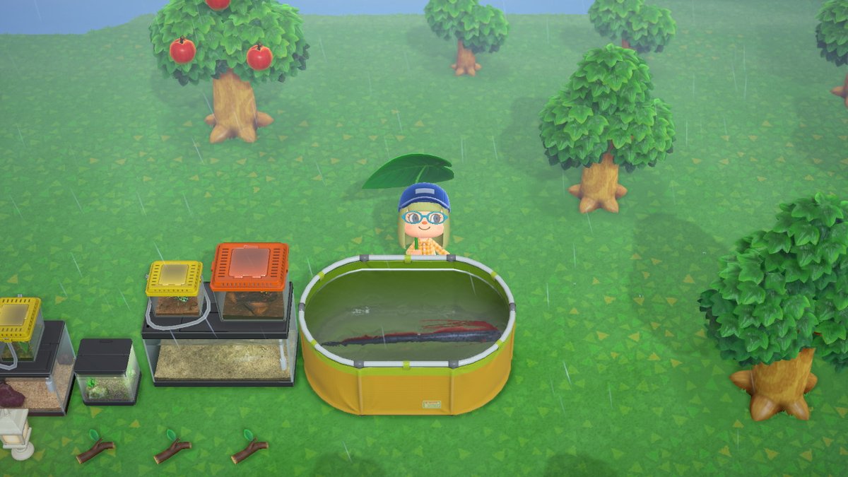 holfish's tweet image. The museum displays are the best! Look at this fish I caught! #AnimalCrossing #ACNH #NintendoSwitch