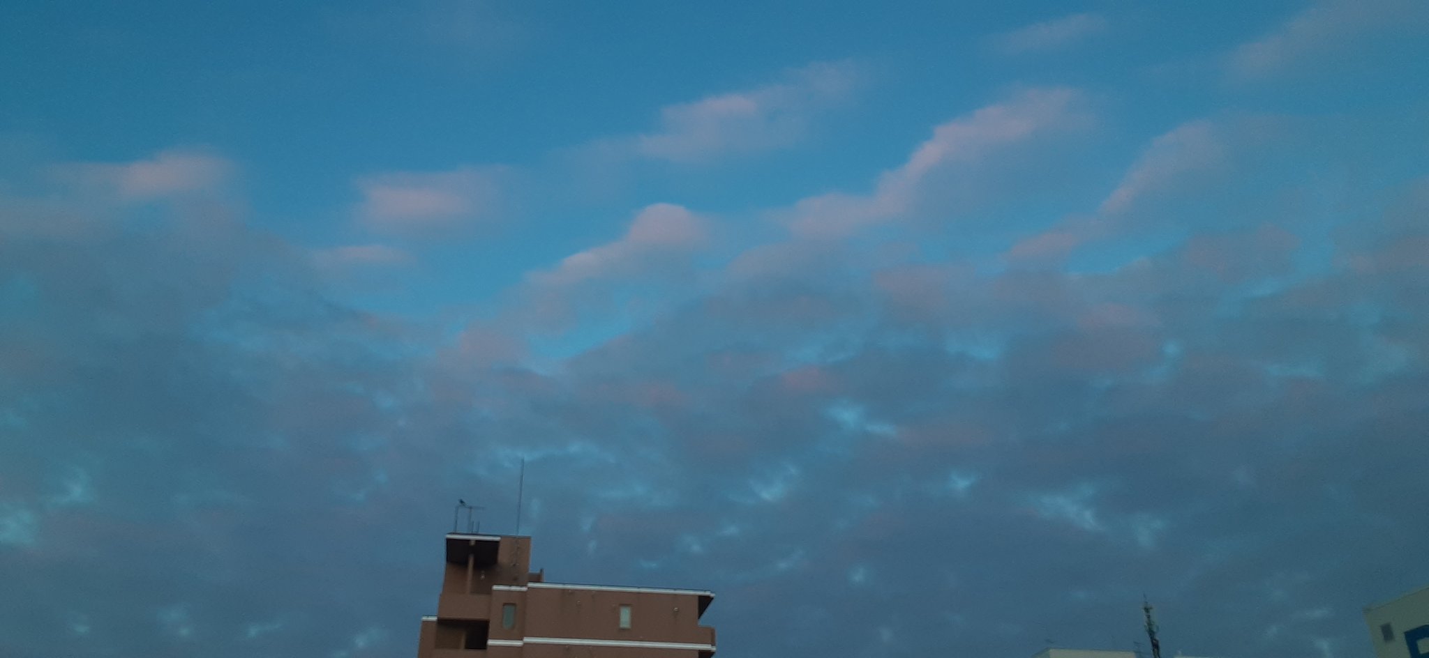 さなえ やっぱイラストっぽいね 青空 雲 きれい 綺麗 なんかいいなと思ったらrtいいね 朝は烏じゃなくて雀がいいなぁ T Co L3wtcmf8oj Twitter