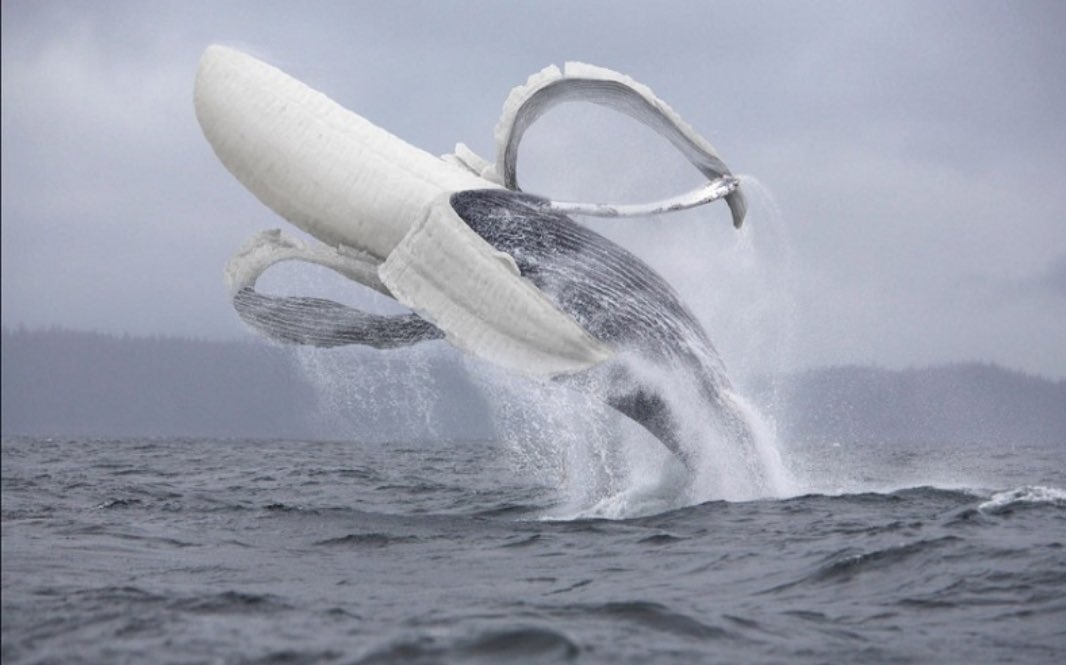 Retweet this whanana to hit your closer this weekend 🙌🏼