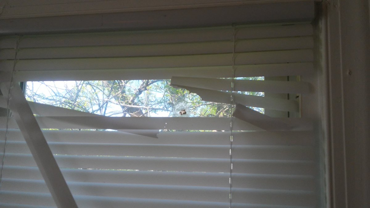slugsoft's tweet image. Basically, my house got shot up. It looks like the shooters entered my backyard and let loose on that side of my house. They very nearly got my dad. If he wasn't sleeping at the time there's no way they wouldn't have killed him.