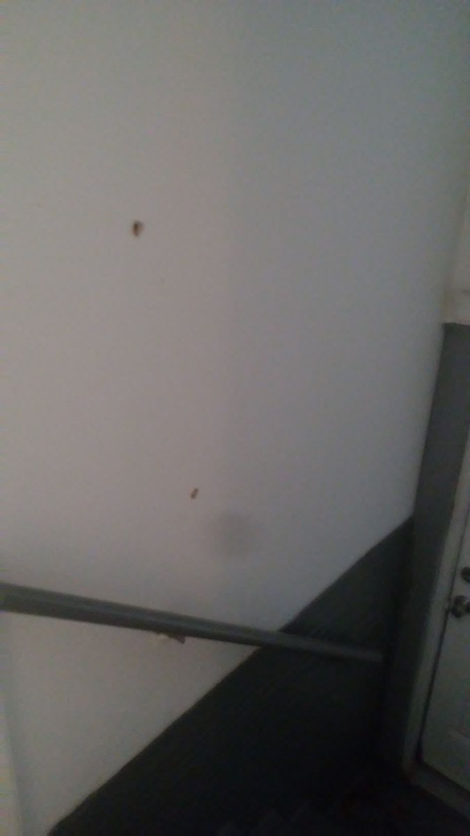 slugsoft's tweet image. Basically, my house got shot up. It looks like the shooters entered my backyard and let loose on that side of my house. They very nearly got my dad. If he wasn't sleeping at the time there's no way they wouldn't have killed him.
