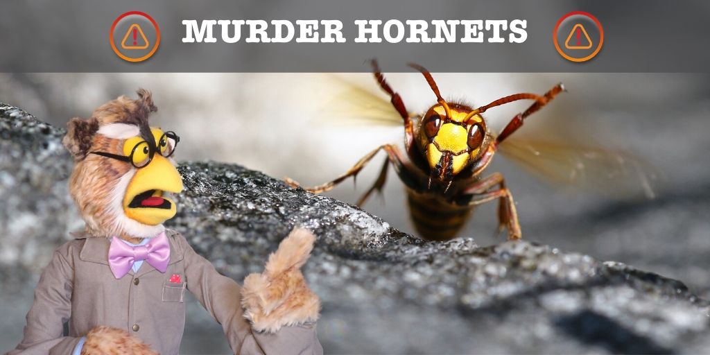 The Cybermaniacs tweet media