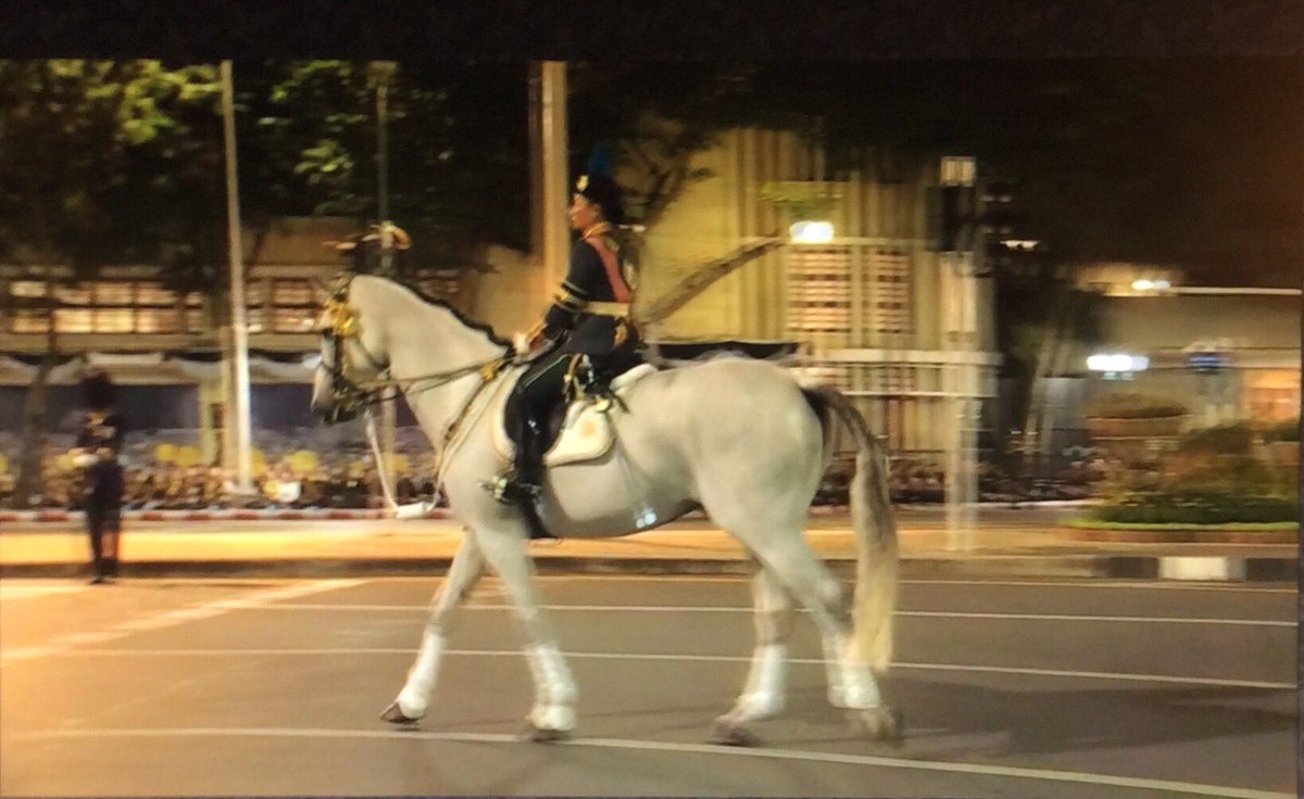 AntiqueTime's tweet photo. Her horse is beautiful. She’s also the Commander of The Royal Regiment. Thailand is a beautiful place. https://t.co/8gpCQJk3XA
