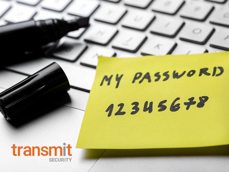 TransmitSec's tweet photo. New blog post: 5 Challenges Stopping Organizations From Going #Passwordles. Read our blog here: https://t.co/MHUZzWPirS https://t.co/a05lz9AUg1