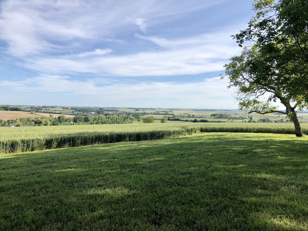 RemiCodron's tweet photo. Journée champêtre dans l'arrière pays Poitevin... 🌾☀️ #Chouppes
@VisitPoitiers @tourisme86 https://t.co/QBB3Ghdb5w