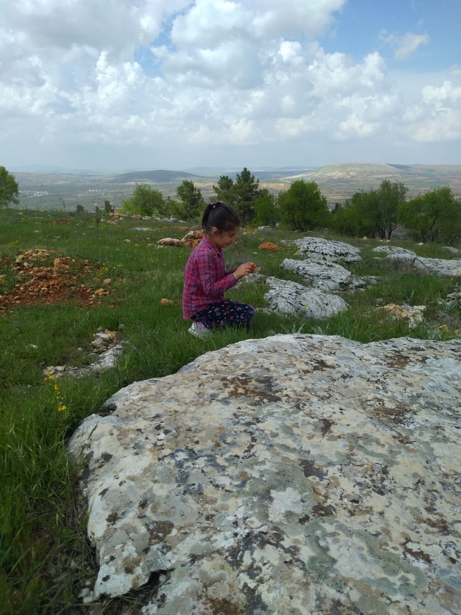 ~Selma Kurtoğlu~ tweet media