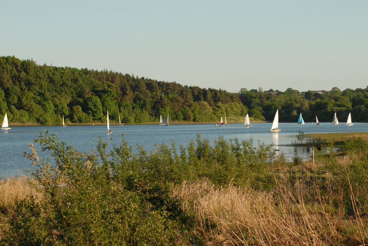 Ogstonsc (@ogstonsailing) on Twitter photo 