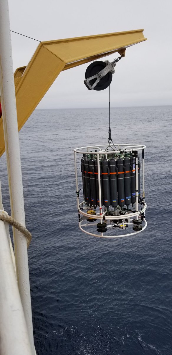 Eventually we finally got to our first station, and the fun began! There's actually several different types of stations that happened on this cruise, but my group samples from the rosette (pictured below).