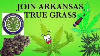 GrassTrue's tweet photo. #arkansas
#ARMA2020 
#FreethePeopleandthePlant 
#arkansasstatecapture 
#arkansastruegrass https://t.co/I8nsSfL2kL