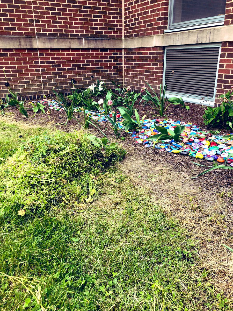 Went to add the last batch of finished Kindness Rocks to the garden and found these rude weeds covering my students’ beautiful creations! No thank you. Took care of that problem ;)