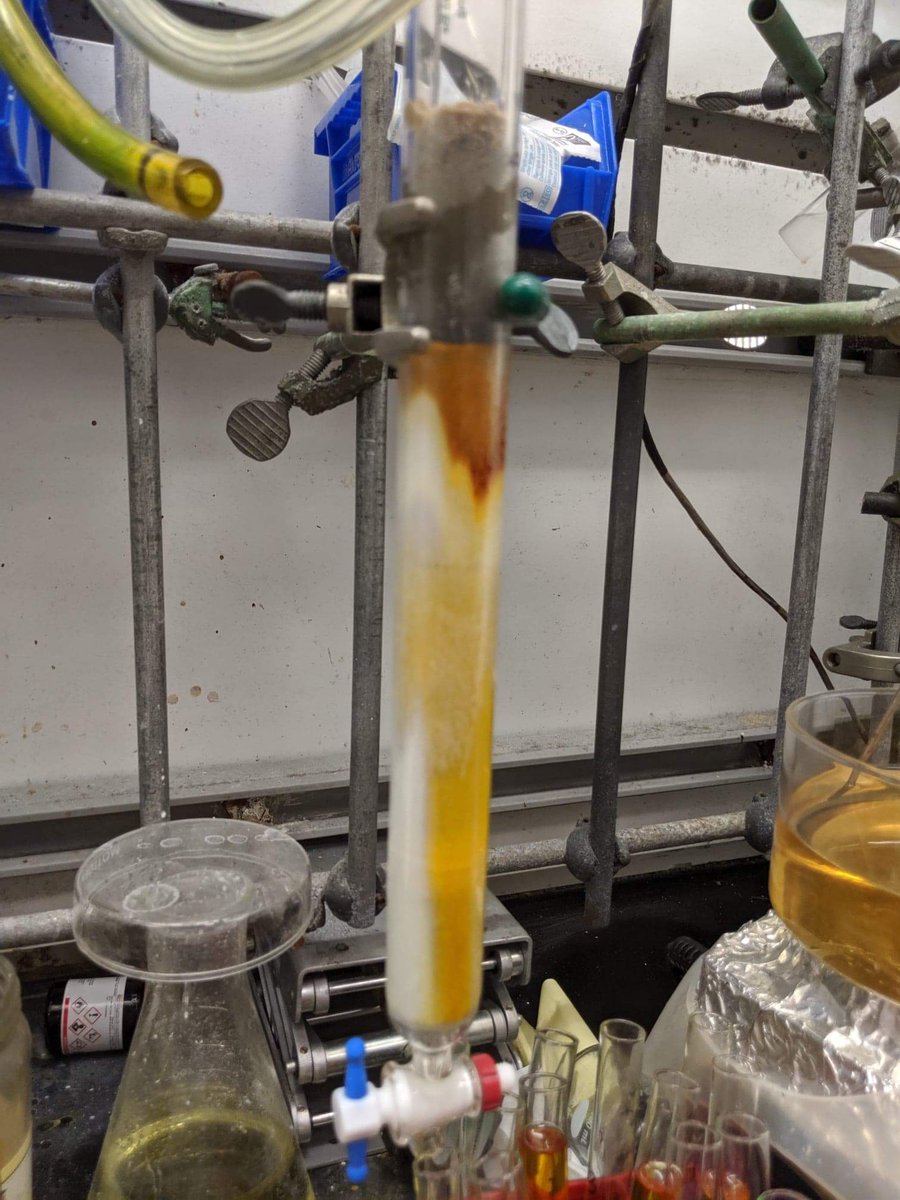 My plan                                  2020