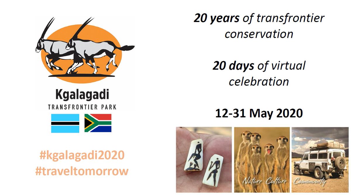 Kgalagadi Transfrontier Park is celebrating 20 years of Transfrontier conservation. Join in the fun and share your memorable @KgalagadiT_NP moments. #Kgalagadi2020 #TravelTomorrow