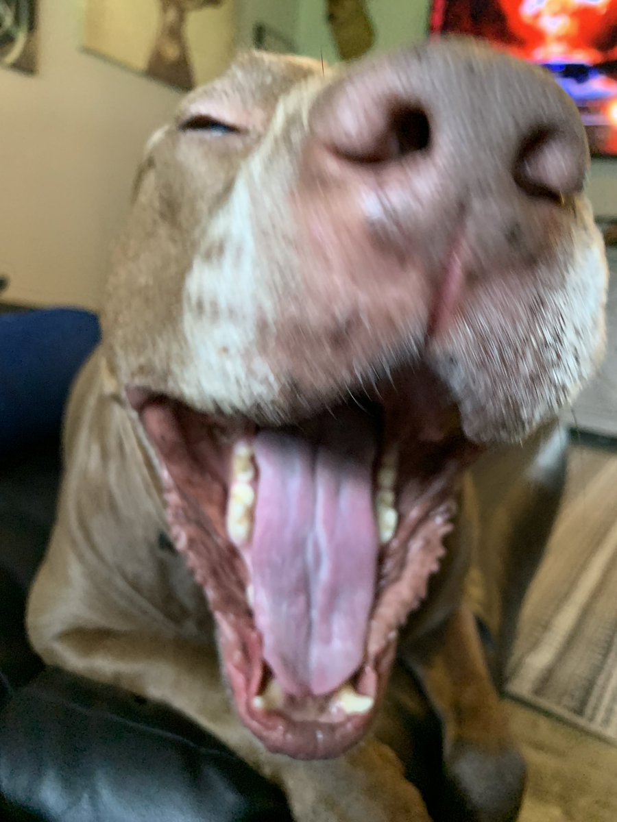 Carleyycx's tweet photo. I’m dying at these photos of cash https://t.co/zEbKqoSFxy
