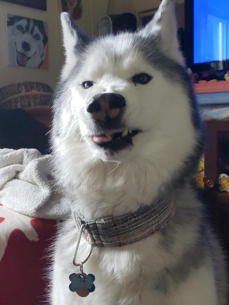 Matrices tweet media