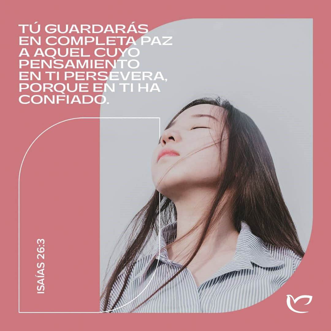 micpa venezuela tweet media